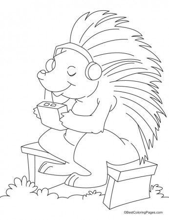 Canadian porcupine coloring pages | Download Free Canadian 