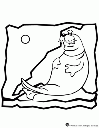18 Seal Coloring | Free Coloring Page Site