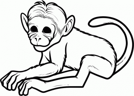 Baby Monkey Coloring Pages Coloring Pages 272868 Coloring Page Monkey