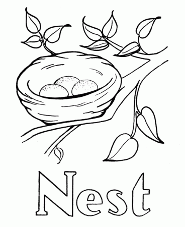 Birds Nest Coloring Page For Kids | COLORING WS
