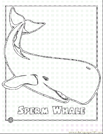 sperm shark Colouring Pages