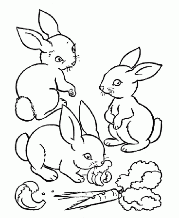 Rabbit Coloring Pages | Best Coloring Pages