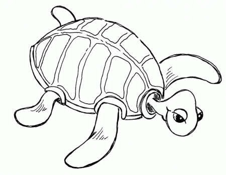 Cute Sea Turtle Clipart | Clipart Panda - Free Clipart Images