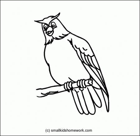 Owl - Outline and Coloring Picture