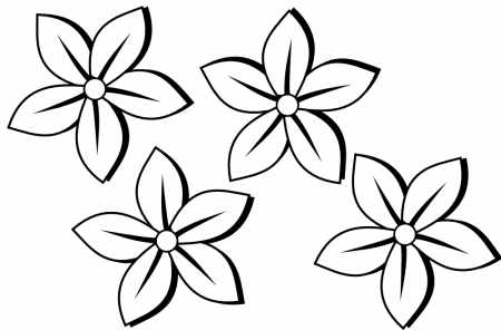 Simple Flower Drawings In Black And White Background 1 HD 