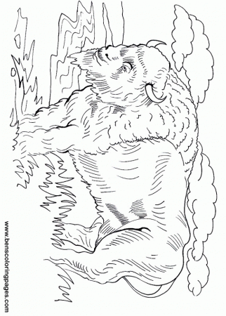 Bison free coloring pages