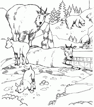 Zoo Animal Coloring Pages 14 | Free Printable Coloring Pages 
