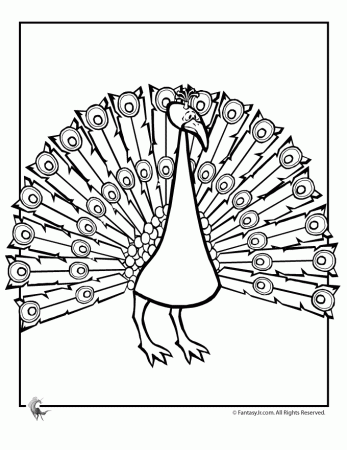 peacock coloring pages for kids - Quoteko.com