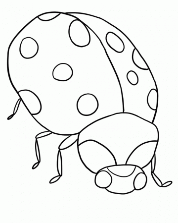 Bug Museum - Bug Coloring Pages - Ladybug (4)