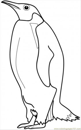Coloring Pages Penguin6 (Birds > Penguin) - free printable 