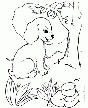 Free Dog Pages to Color