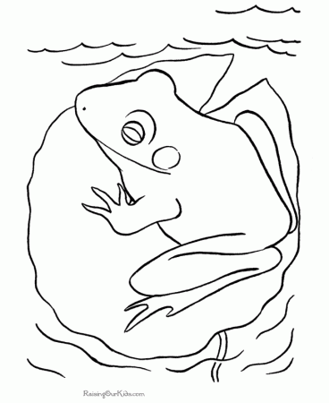 Frog coloring pages 005