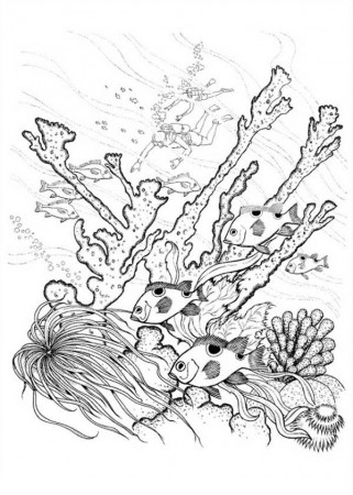 Coral Reef of Nature Coloring Page | Color Luna