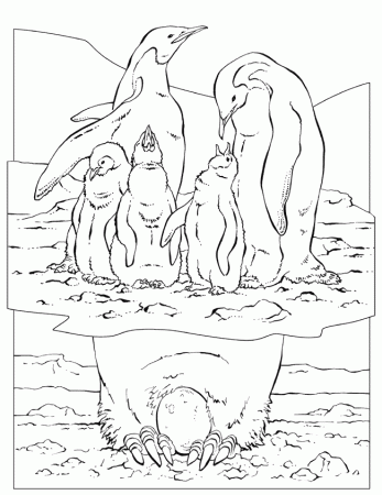 Emperor Penguin coloring - Free Animal coloring pages sheets ...