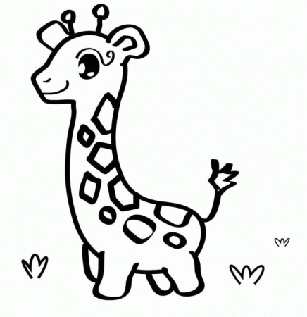 Cute Animal - Coloring Pages for Kids and for Adults