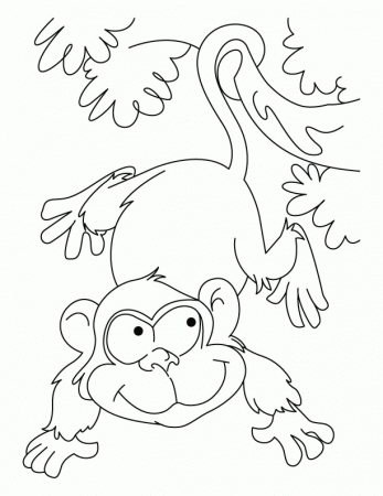 Playing ape coloring pages | Download Free Playing ape coloring ...