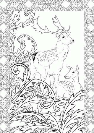 Art Therapy: The Enchanted Forest: 100 Designs Colouring In and Relaxation:  Marthe Mulkey: 9781910254… | Horse coloring pages, Animal coloring pages, Coloring  pages