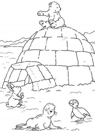 Lars the Little Polar Bear Sitting on an Igloo Coloring Pages ...
