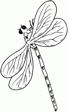 Dragonfly coloring page - Animals Town - animals color sheet - Dragonfly  free printable coloring pages animals