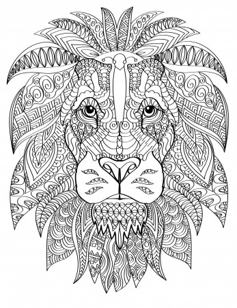 Lion Coloring Images - Free Download on Freepik
