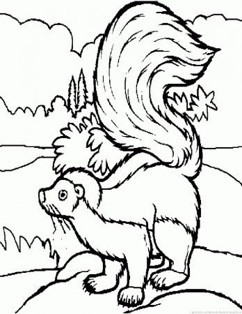 Skunk Coloring Pages - Part 4