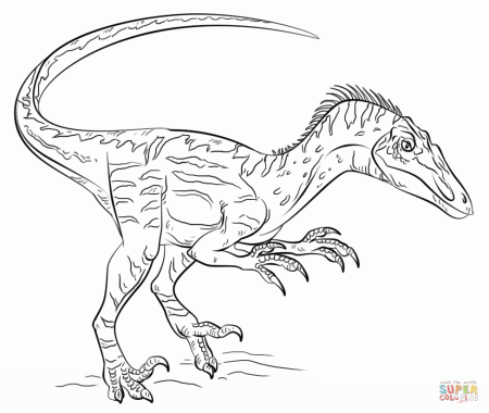 Velociraptor Coloring Page