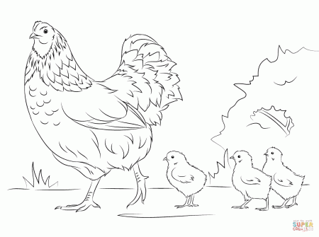 Hen and Cute Chicks coloring page | Free Printable Coloring Pages
