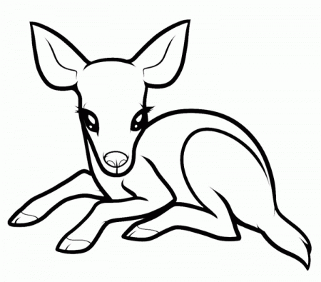 Baby Deer - Coloring Pages for Kids and for Adults