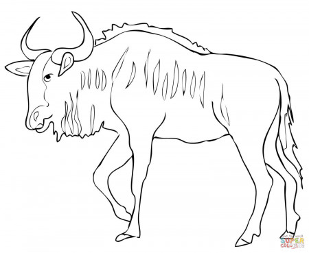 wildebeest coloring pages