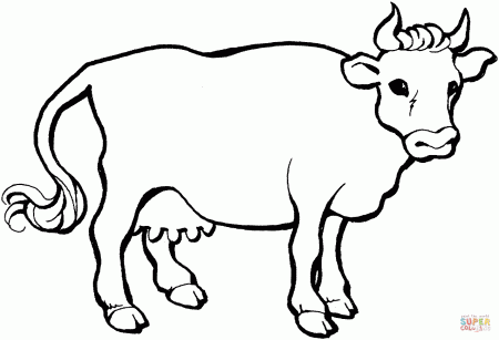 Cow 21 coloring page | Free Printable Coloring Pages