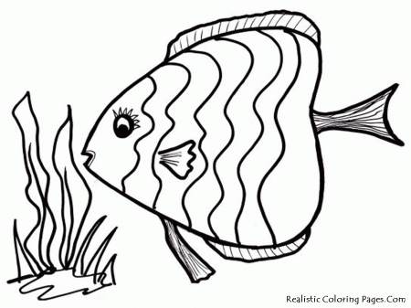 Realistic Ocean Fish Coloring Pages - High Quality Coloring Pages