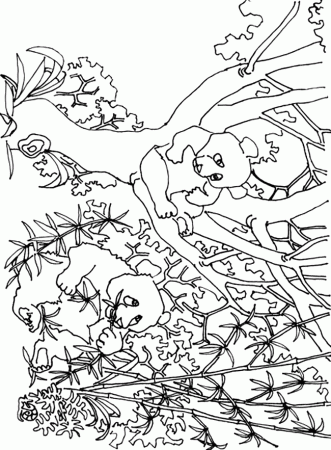 Giant Panda coloring page - Animals Town - Free Giant Panda color ...