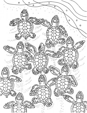 Baby Sea Turtles Coloring Page Embroidery Pattern Sea - Etsy