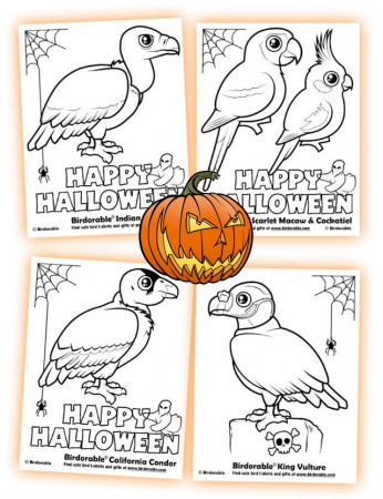 Coloring Pages (page 5) < Categories - Birdorable Blog