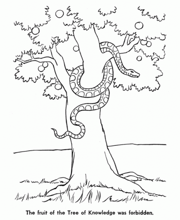 11 Pics of The Garden Of Eden Story Coloring Page - Adam and Eve ...
