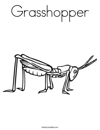 Grasshopper Coloring Page - Twisty Noodle