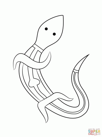 Reptiles coloring pages | Free Coloring Pages