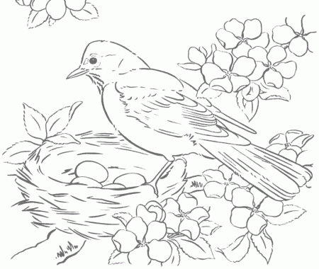 Robin And Eggs In Birds Nest Tracing Coloring Page – coloring.rocks!