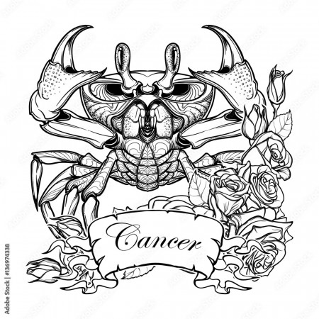Zodiac sign - Cancer. Accurate symmetrical drawing of the beach crab with a  frame of roses. Concept art for tattoo, horoscope. Coloring book  illustration. Linear drawing itolated on white background Stock Vector |