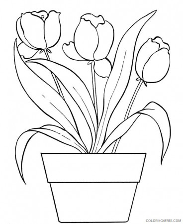 Flower Pot Coloring Pages Flowers Nature Tulips in Flower Pot Printable  2021 160 Coloring4free - Coloring4Free.com