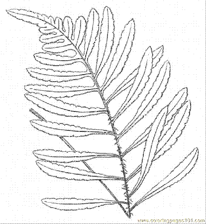 Fern 7 Coloring Page for Kids - Free Trees Printable Coloring Pages Online  for Kids - ColoringPages101.com | Coloring Pages for Kids