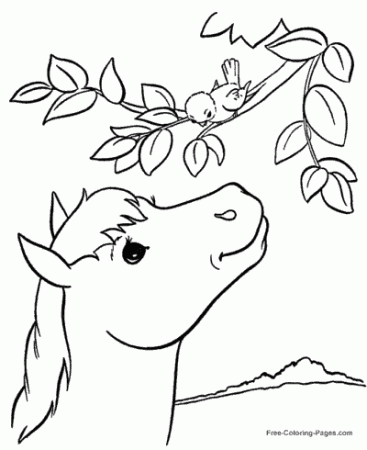 Horse coloring pages, sheets and pictures