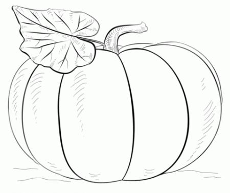 Pumpkin coloring page | Free Printable Coloring Pages