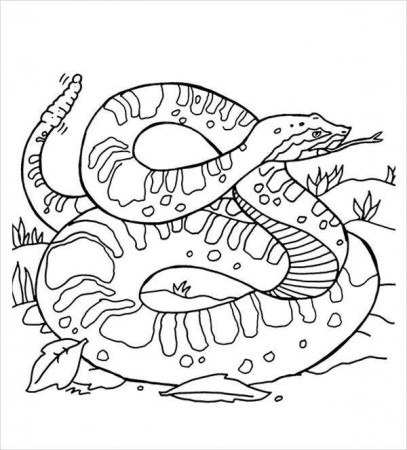 9+ Snake Coloring Pages - JPG, PSD