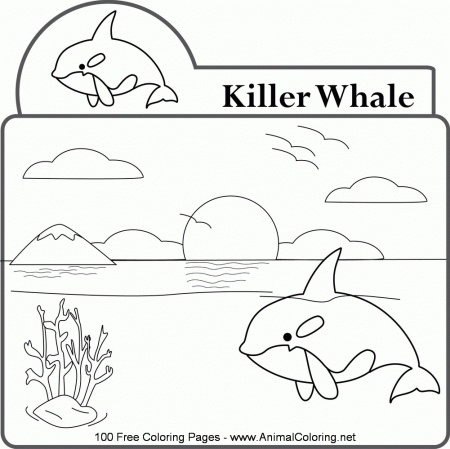 Penguins Coloring Pictures Animal Coloring Pages Free Whale ...