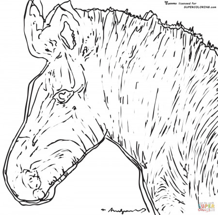 Andy Warhol - Coloring Pages for Kids and for Adults