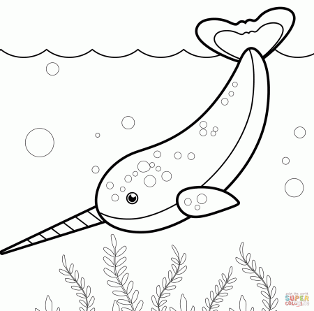 Narwhal coloring page | Free Printable Coloring Pages