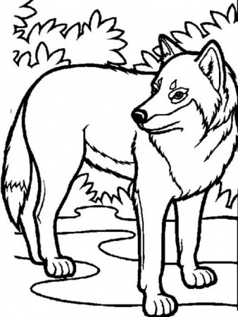 Free download for kids please see the wolf coloring pages and print  immediately [550x733] for your Desktop, Mobile & Tablet | Explore 48+  Online Wallpaper for Teenagers Australian | Australian Shepherd Wallpaper,