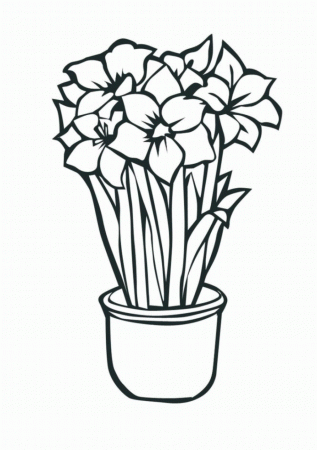 Free Coloring Pages Of Hawaiian Flowers Hawaiian Flowers Coloring ...