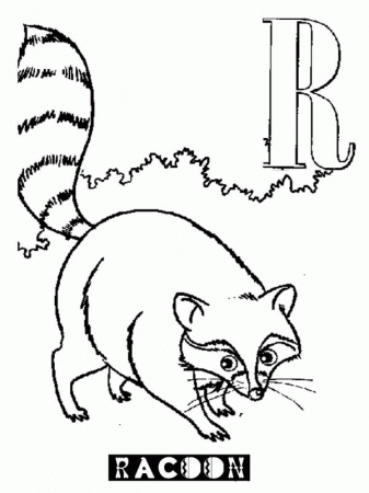 Alphabet R is for Raccoon Coloring Page - NetArt